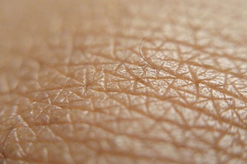 Hydrate Skin with Best Korean Moisturiser for Winter in NZ