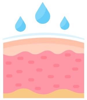 Healthy skin barrier retaining moisture in the skin