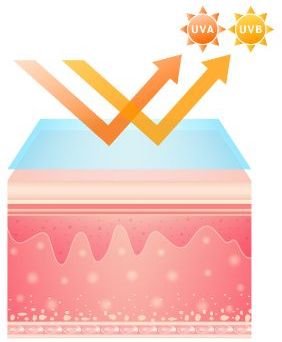 Skin barrier protection from UVA and UVB rays
